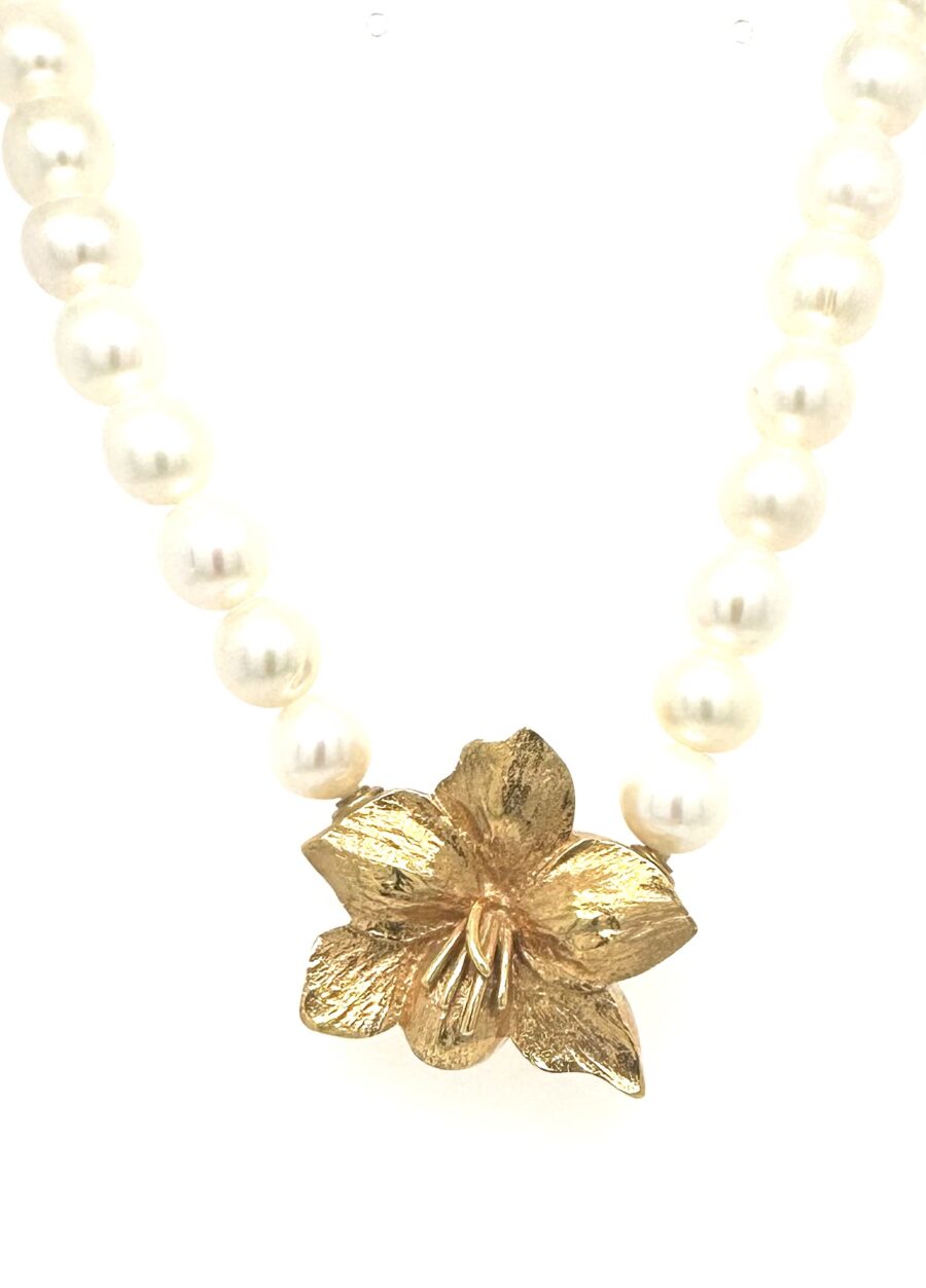 Per Borup Liten "Amarylis Belladonna" 647L
