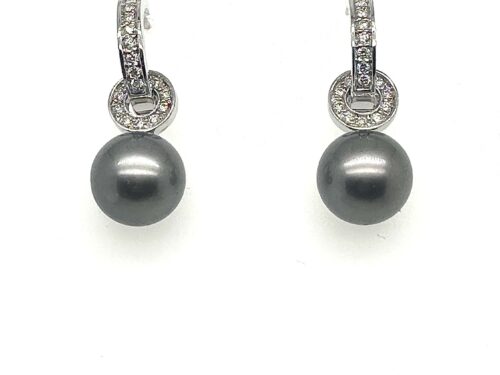 Örhängen med Tahiti pärla